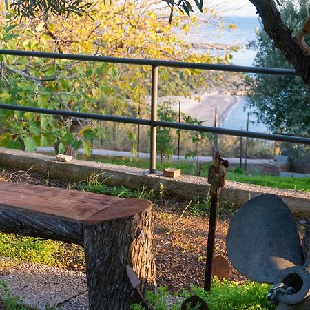 Villetta Fenosa Marina di Camerota Exteriér fotografie